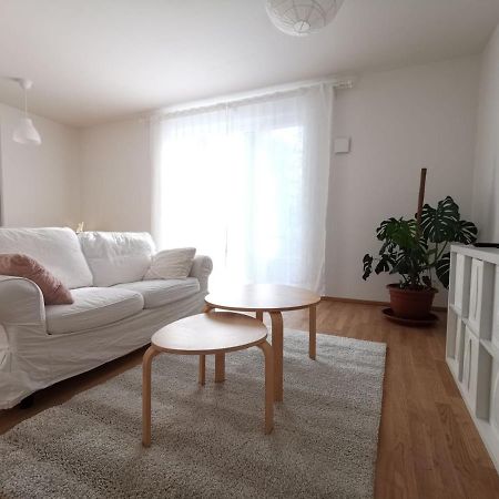 Gemuetliches Privatzimmer In Geraeumiger Gemeinschaftswohnung Дрезден Экстерьер фото